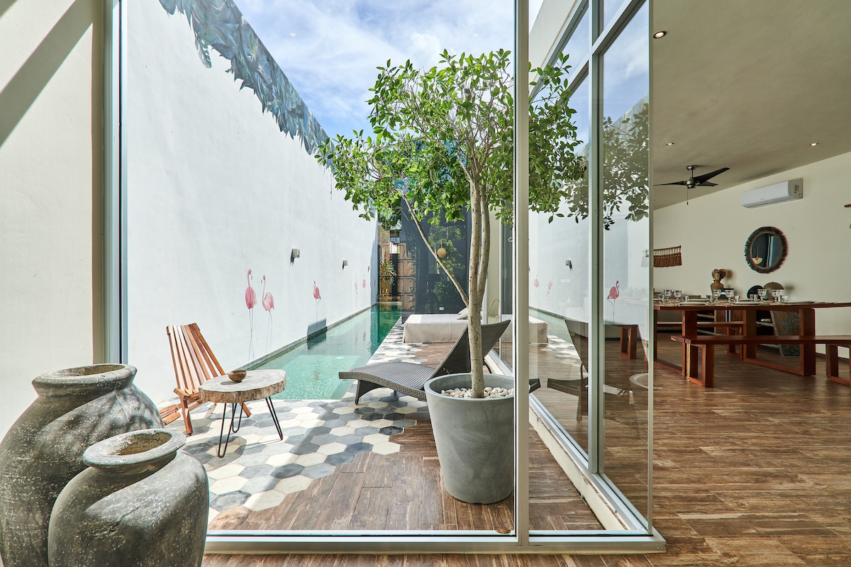 Casa Flamingo alberca de lujo de 17 metros con área de BBQ y terrazas al aire libre